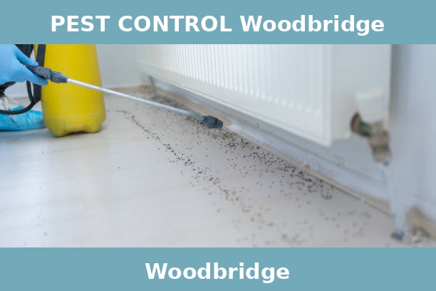 PEST CONTROL Woodbridge